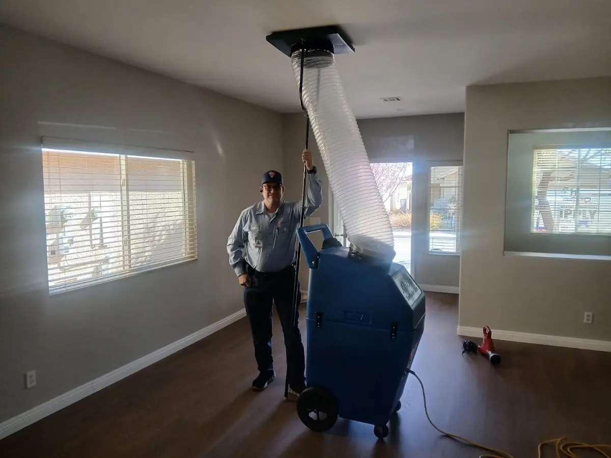 Professional Dryer Vent Cleaning work inside a Lincolnwood home